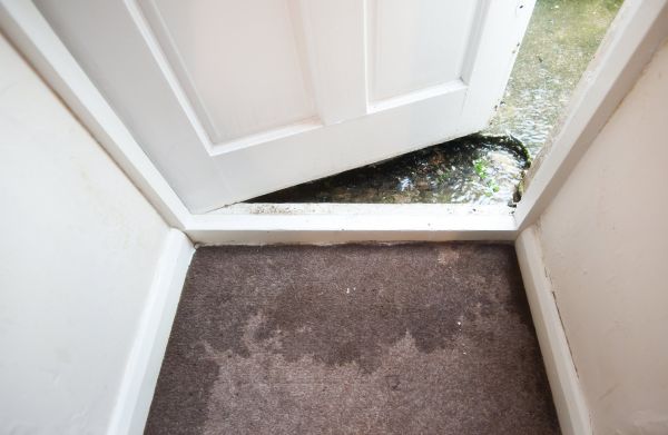 Wet Carpet Restoration in Stillwater