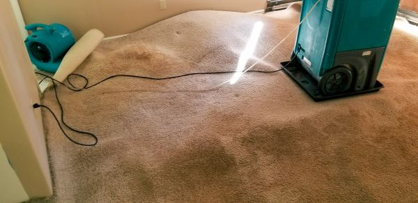 Carpet Water Extraction in Stillwater