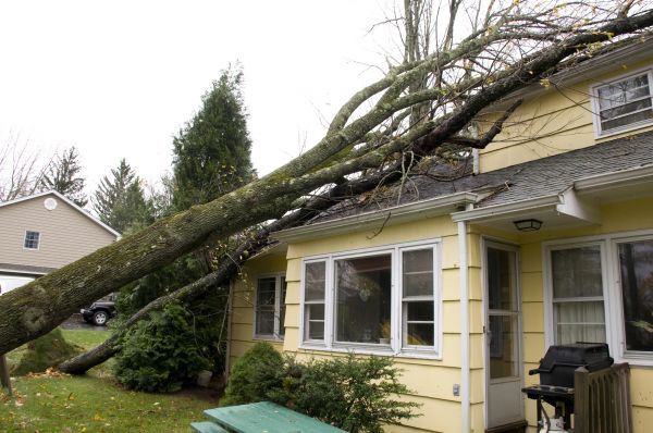 Hurricane Damage Repair in Stillwater